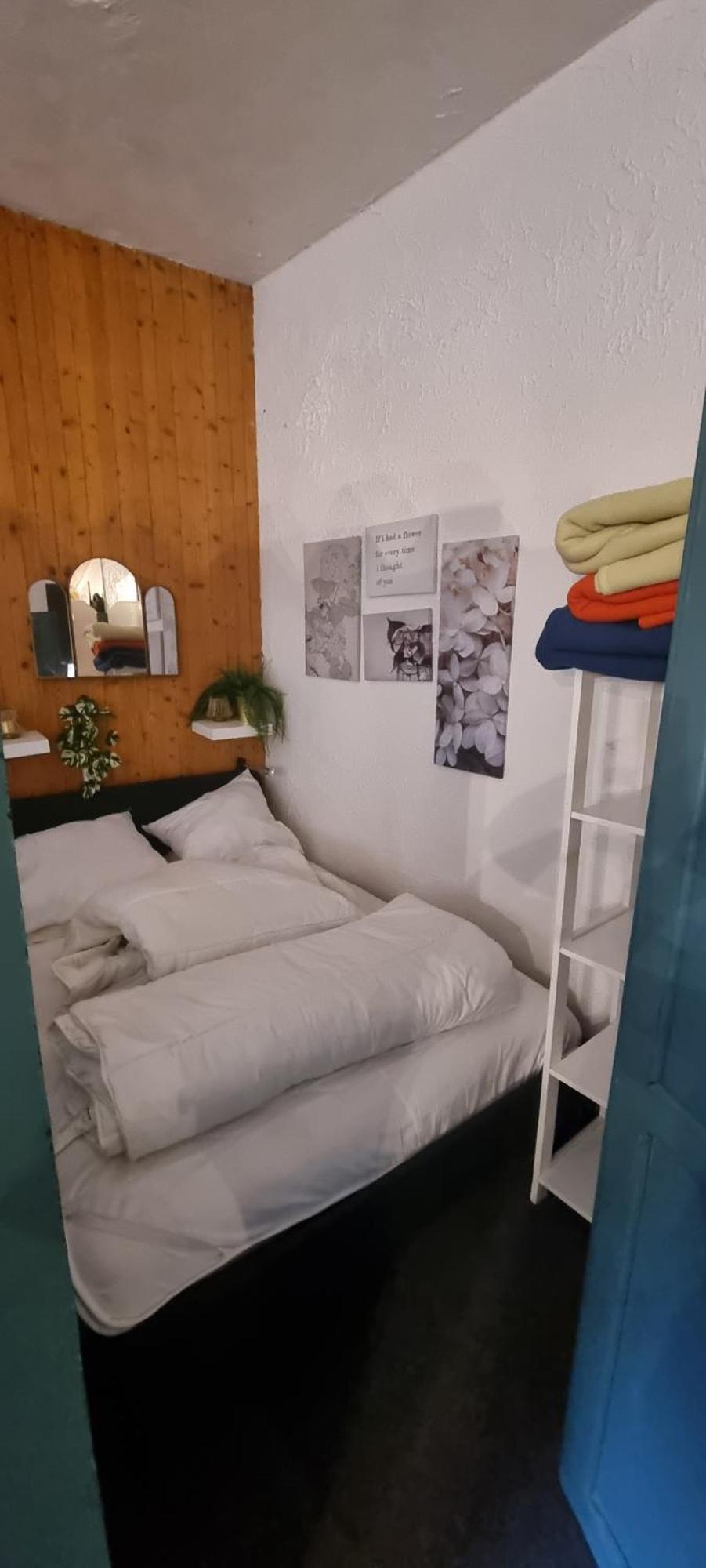 Oscar Et Petrus Au Lioran Leilighet Laveissière Eksteriør bilde